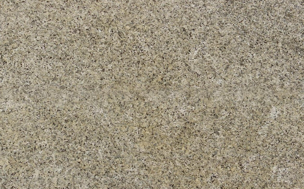 Butterfly Beige