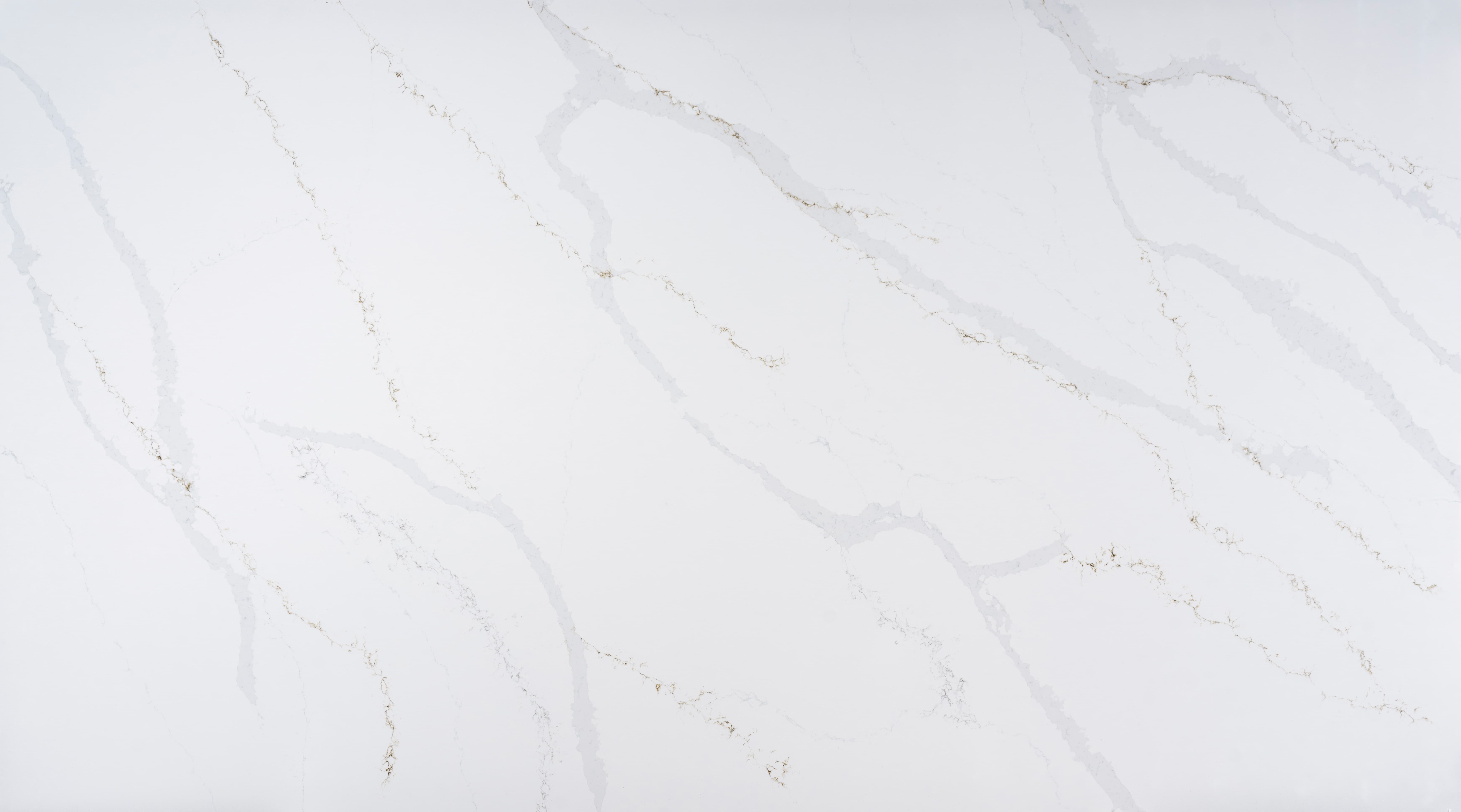 Calacatta Bella Gold S1 Super Jumbo