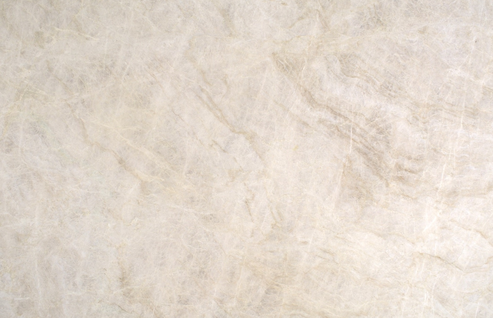 Taj Mahal Leather